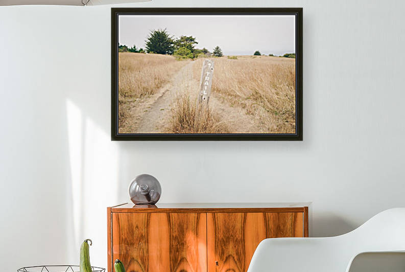 Trails by iSee.Life