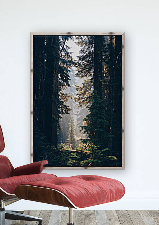 Forest Reproduction
