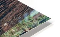 HDstudio.us 282 HD Metal print
