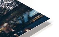 Forest HD Metal print