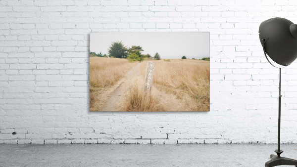 Trails Wall Preview