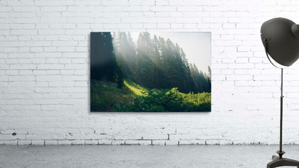 HDstudio.us 334 Wall Preview