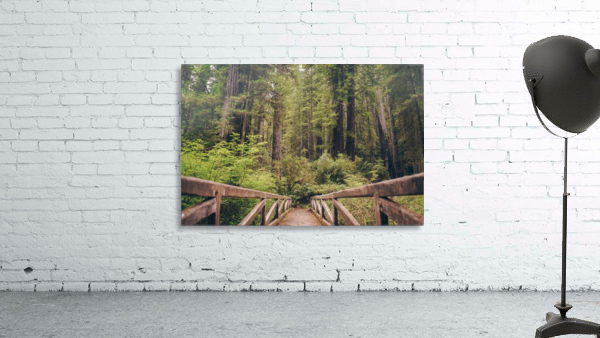 HDstudio.us 272 Wall Preview