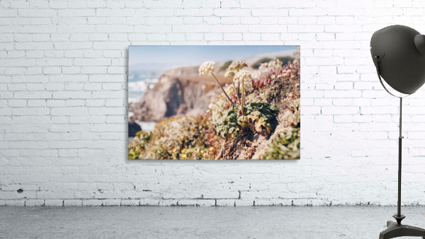 HDstudio.us 119 Wall Preview