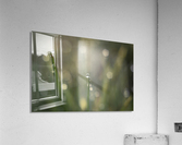 droplet Acrylic Print