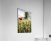 poppy Impression acrylique