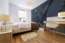 small shoot Mural print