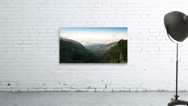 Misty Morning Wall Preview