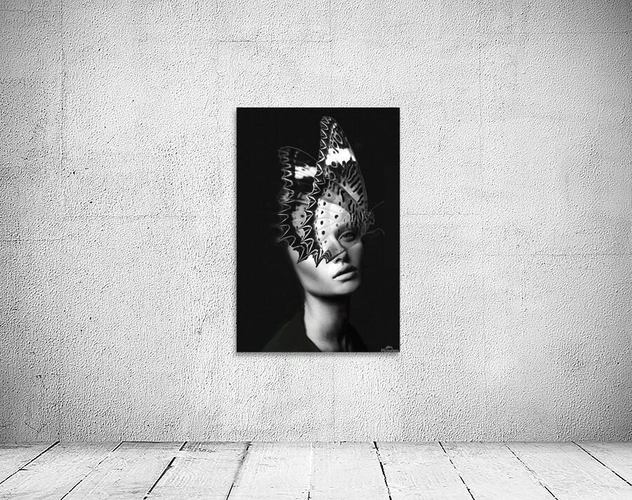 MOTH Wall Preview