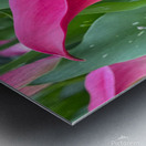 Flowers Metal print