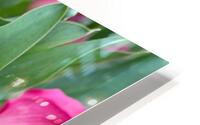 Flowers HD Metal print