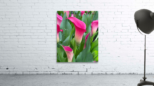 Flowers Wall Preview
