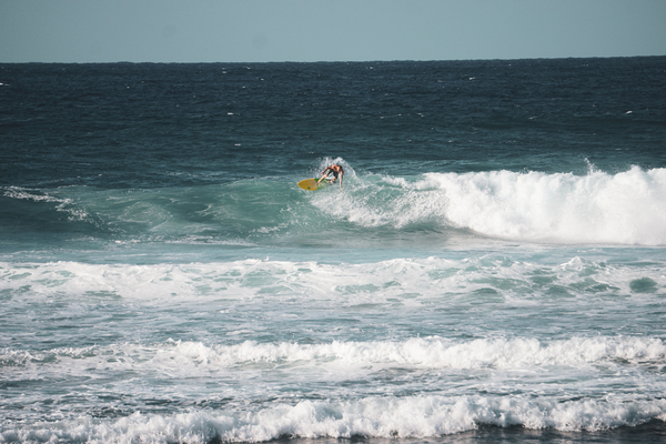 Shredding  Digital Download