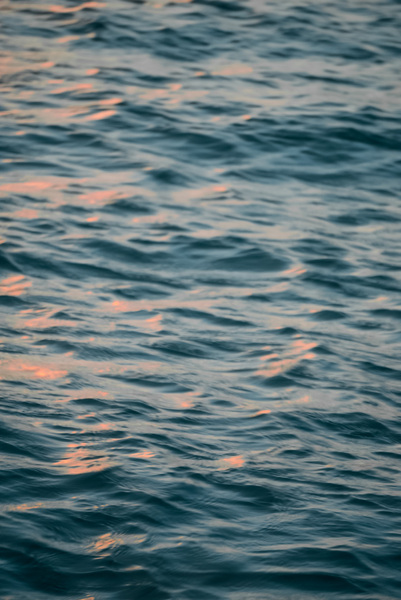 Water Digital Download