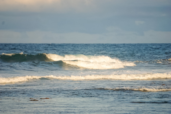Wave Hello Digital Download