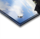 Serenity Acrylic print