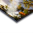 I Spy Acrylic print