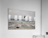 Soarin’ Acrylic Print
