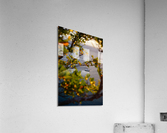 I Spy Acrylic Print