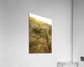 Trust Acrylic Print