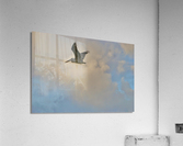 Entry to Heaven  Acrylic Print