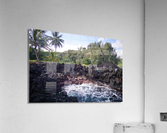 Jump In Acrylic Print