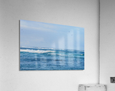 Sea Spray Acrylic Print
