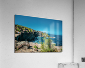 Wanderer Acrylic Print