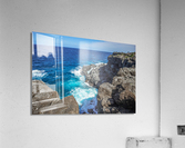 Spray Acrylic Print