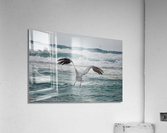 Problems in The Rear Acrylic Print