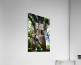 Heads Up Acrylic Print