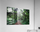 Whispering Forest Acrylic Print