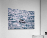Rest Acrylic Print