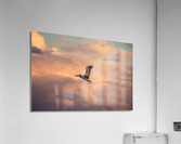 Sweet Goodbyes Acrylic Print
