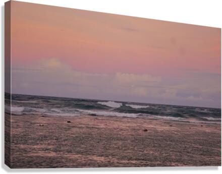 Pink Skies Canvas Print
