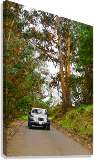 Maui Jeep Canvas Print