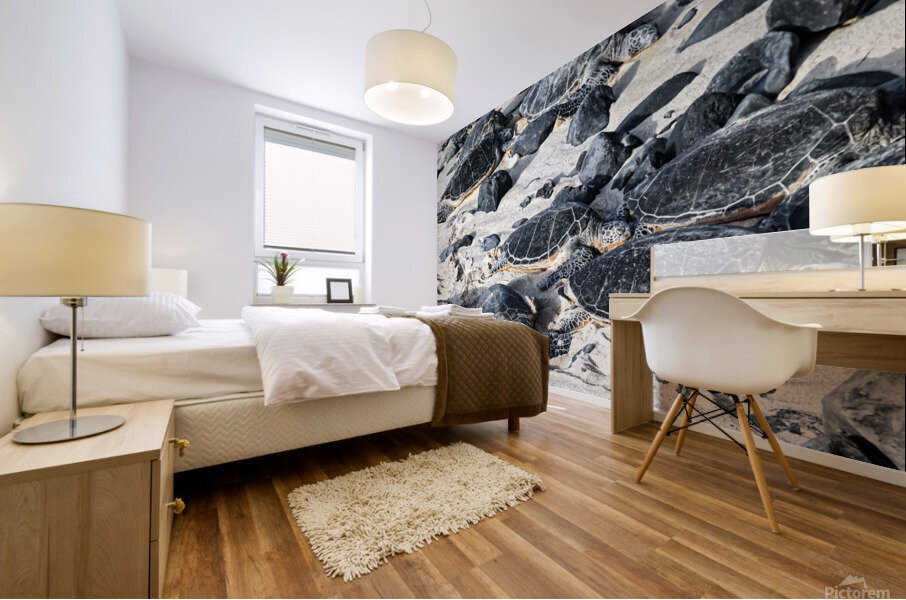 Sun Bathing Sea Turtles Mural print