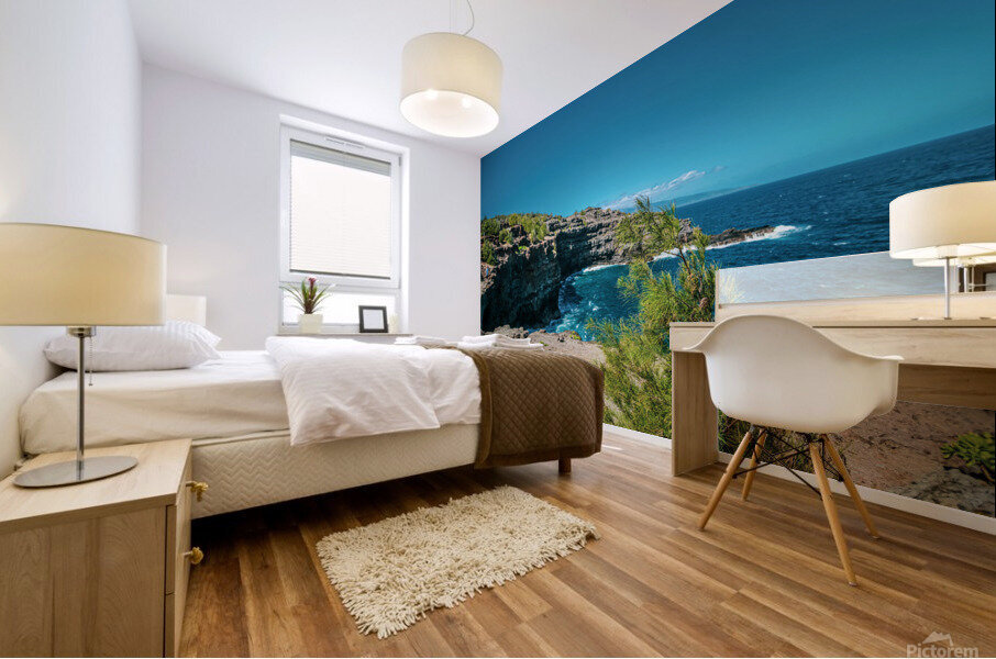 Wanderer Mural print