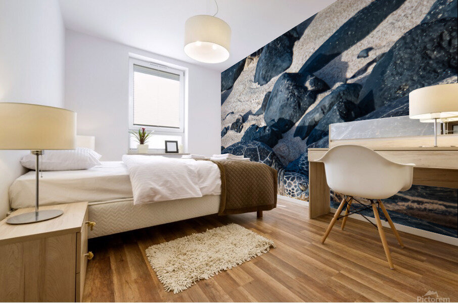 Sea Turtle Siesta  Mural print