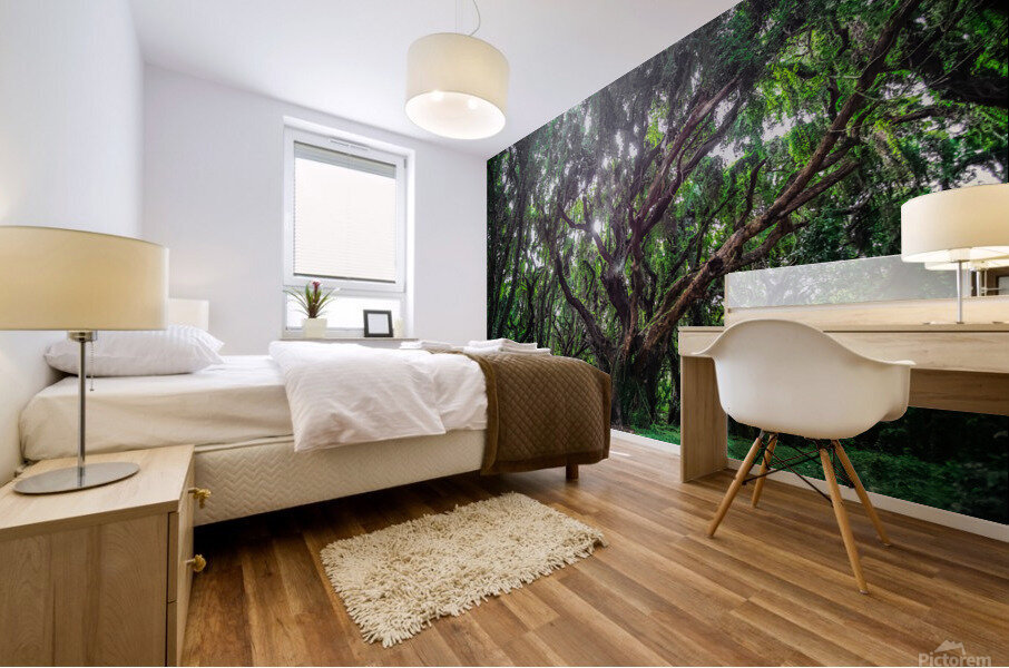 Larger Secret Forest Mural print