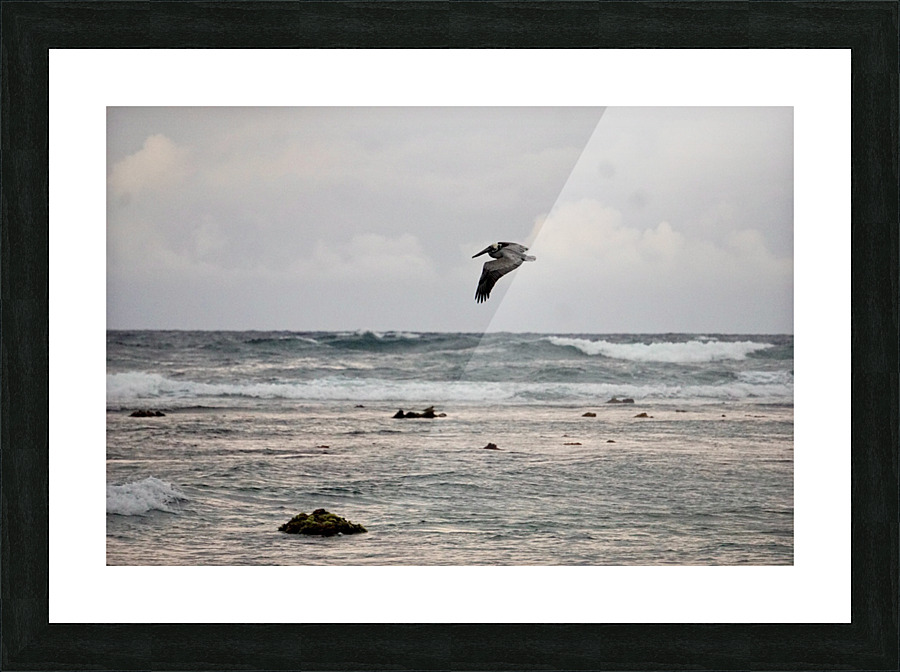 Soarin’ Picture Frame print