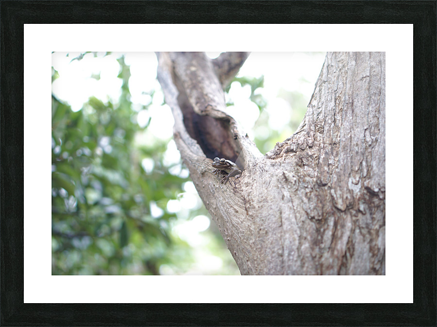 Just Hanging Picture Frame print