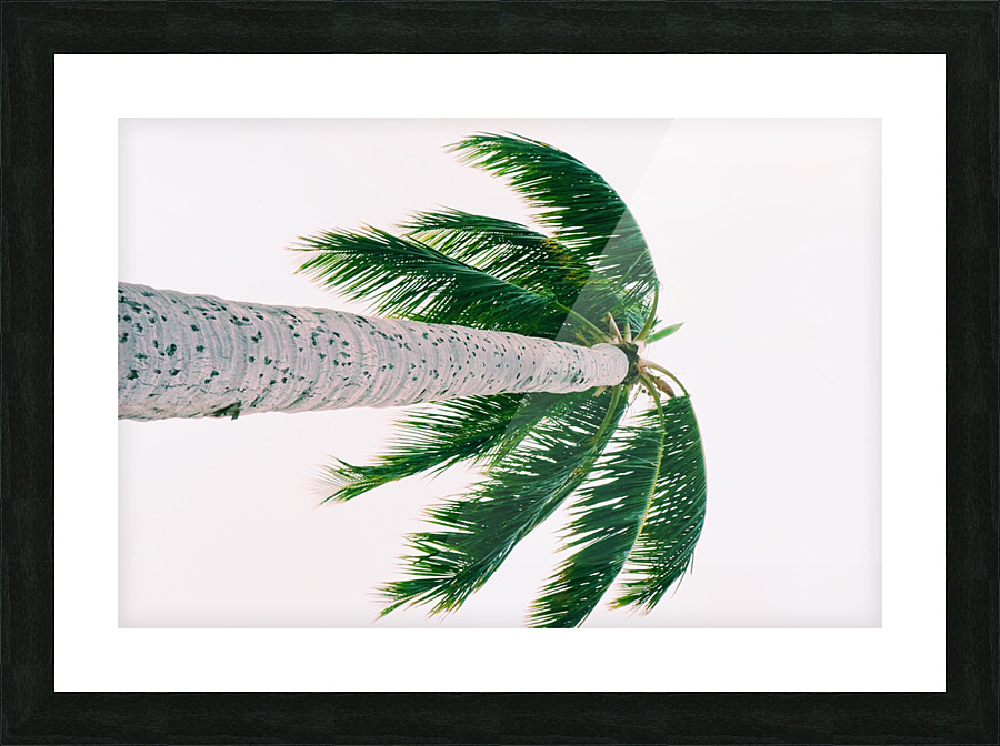 Tall Guy eh  Picture Frame print