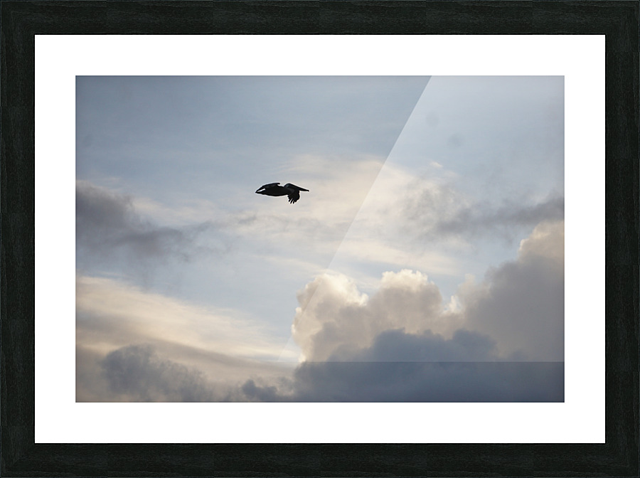 Humbled Picture Frame print