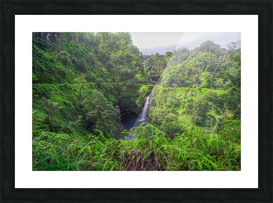 Moana  Picture Frame print