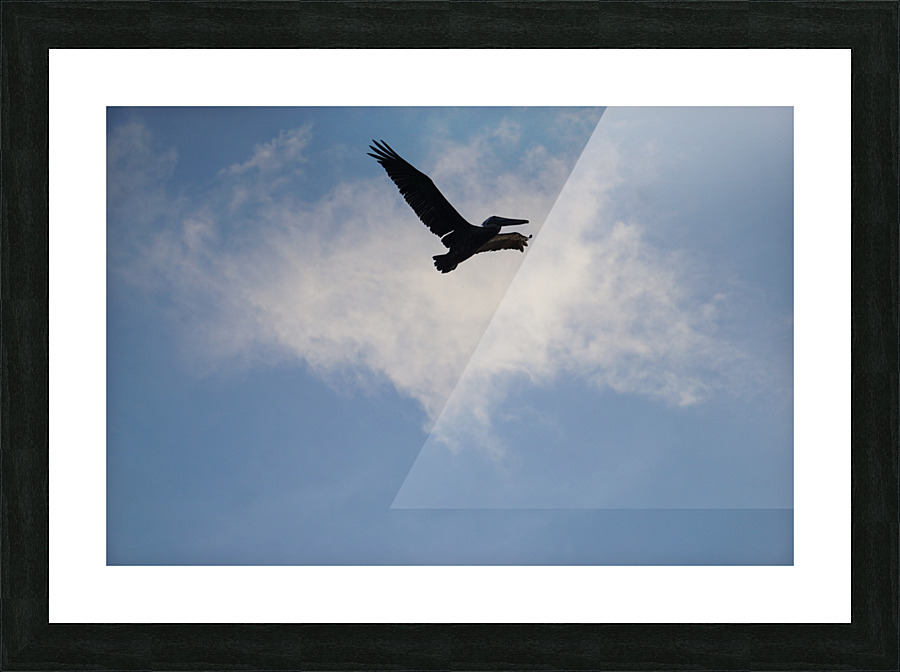 Freed Picture Frame print