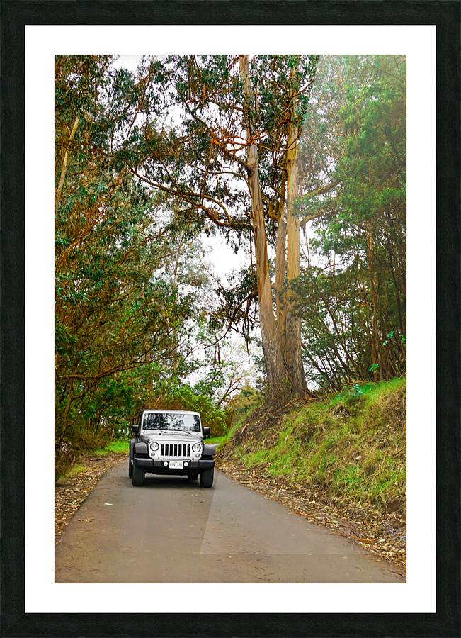 Maui Jeep Picture Frame print