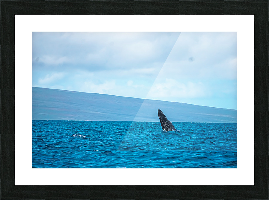 Welcome Picture Frame print