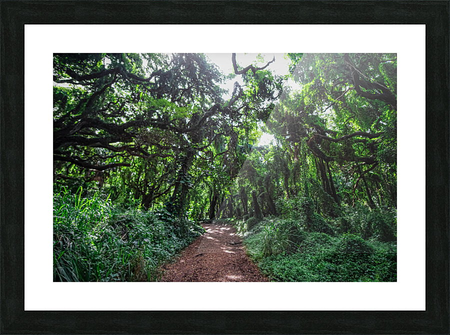 Whispering Forest Picture Frame print