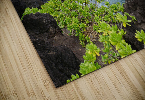 Black Sand Beach Sarah Jessica Forte puzzle